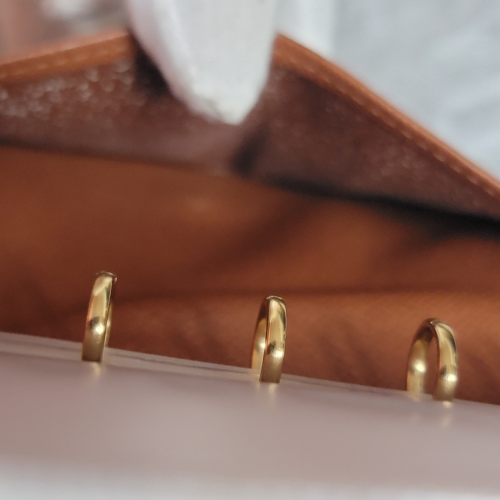 Louis Vuitton Monogram Canvas Small Ring Agenda Cover - Picture 10 of 16